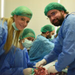 043